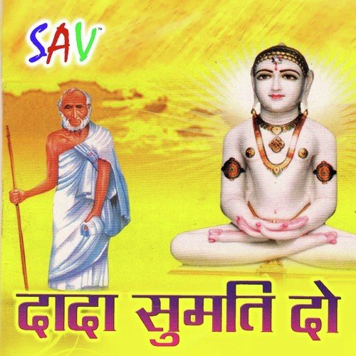 Chahe Sona Naa Dho - Vipin Porwal