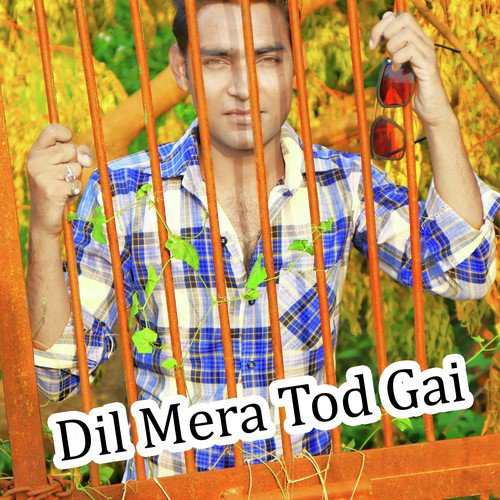 Dil Mera Tod Gai - Sanghpriy Tengar amp Mrjj