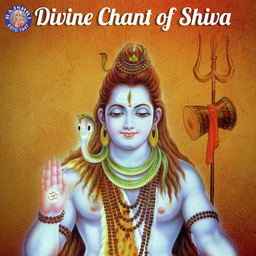 Shiv Tandav Stotra - Various Artists