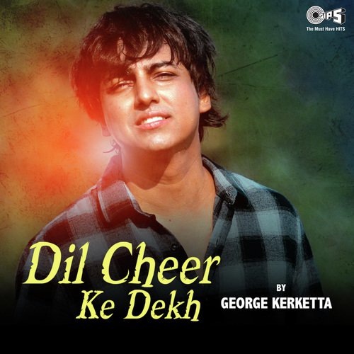 Dil Cheer Ke Dekh - Nadeem-Shravan