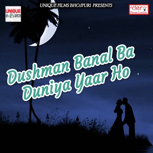 De da Dulaar - Various Artists