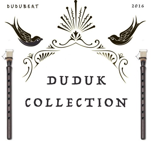 Narayan - Dudubeat