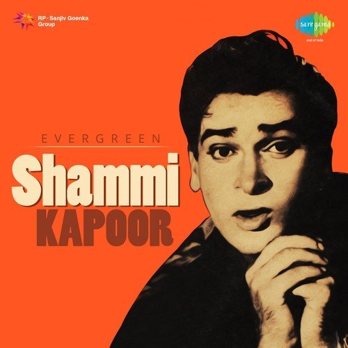 Deewana Mujhsa Nahin (From Teesri Manzil) - Various Artists
