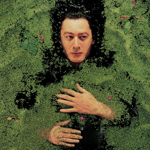 Dehors - Alain Bashung