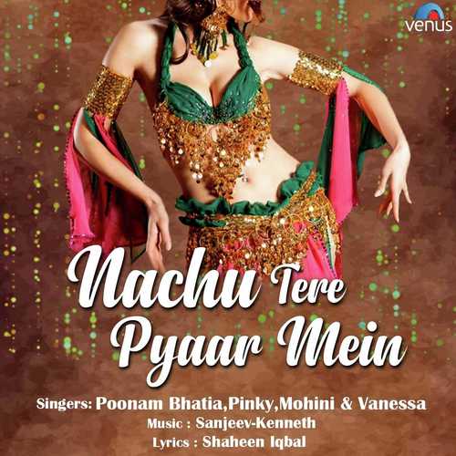 Nachu Tere Pyaar Mein - Farid Sabri (Jaipuri), Saeed Sabri (Jaipuri)