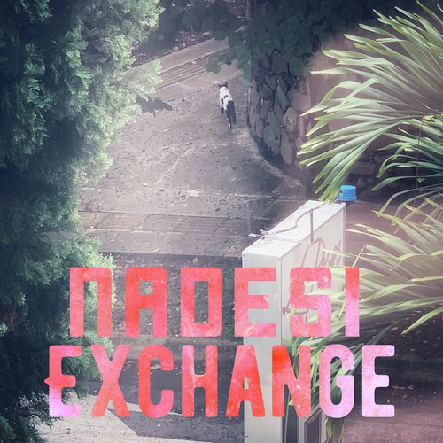Exchange - Nadesi