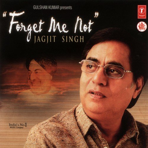 Tum Hamare Nahin - Jagjit Singh