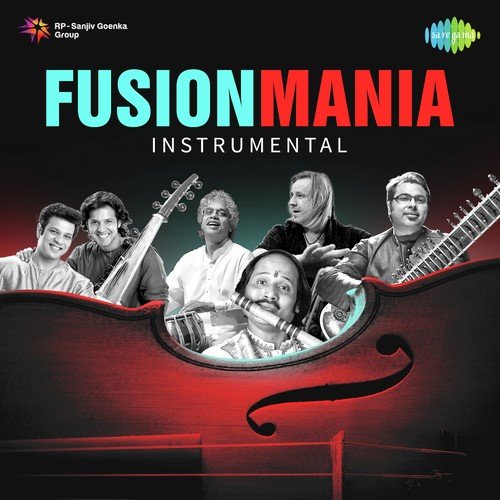 In Love With Kashmir - Various Artists