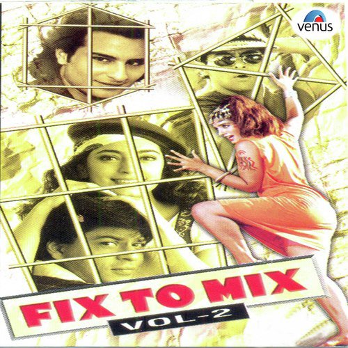 Chanda Teri Chandni Ko  DJ Remix - Various Artists