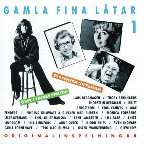 Jag kan inte leva utan dig - Various Artists