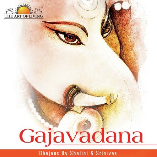 Vinayaka Vinayaka - Srinivas, Shalini