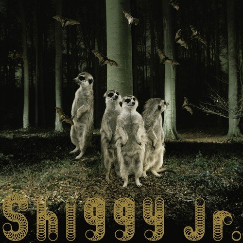 Ghost Party - Shiggy Jr.
