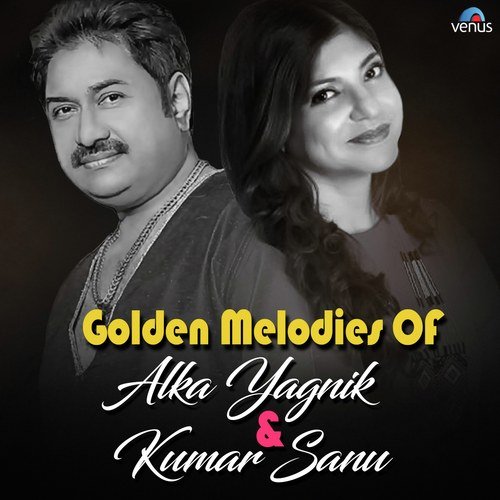 Tum Dil Ki Dhadkan Mein Kumar Sanu - Kumar Sanu, Alka Yagnik