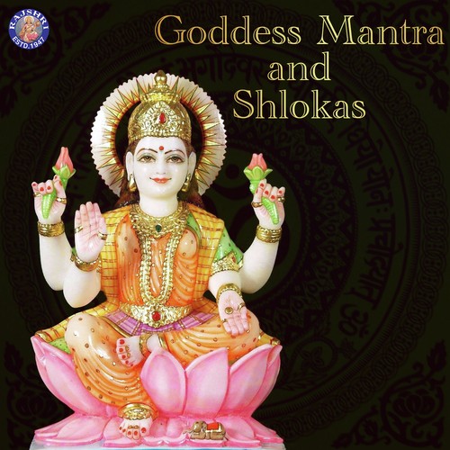 Jai Santoshi Mata - Various Artists