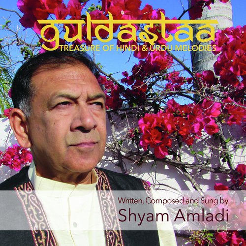 Aashaon Kaa Swaroop Hee Swatantrataa - Shyam Amladi