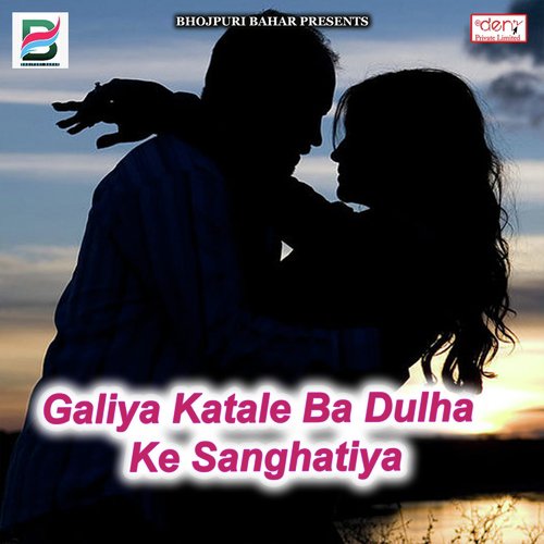 Bewafa Dulhan Banke Sasural Jane Lagi - Various Artists
