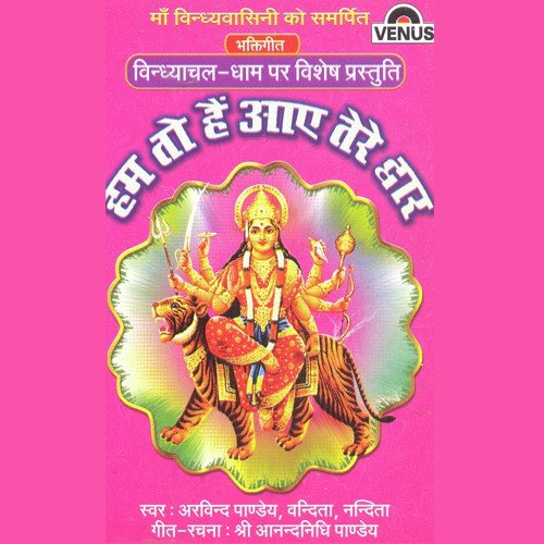 Hum To Hai Aaye Tere Dwar - Shri Anandnidhi Pandey