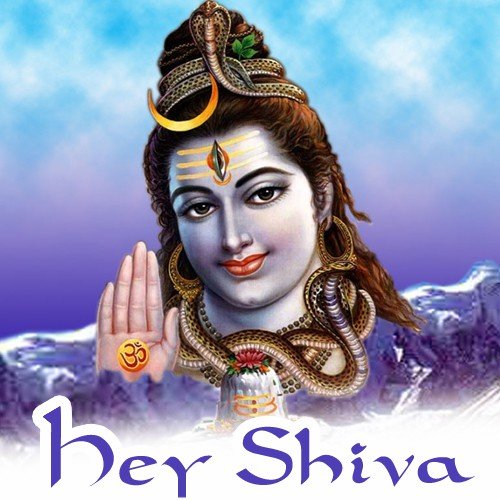 Shiv Shiv Hari Hari - Various Artists