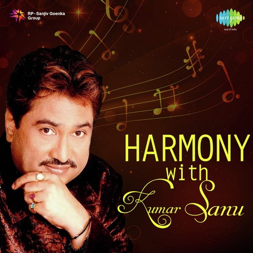 Jab Se Tumko Dekha (From Damini) - Various Artists