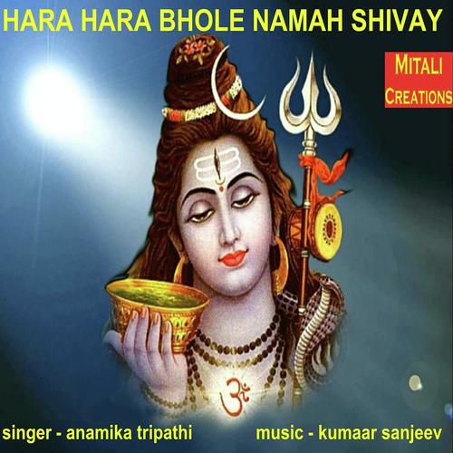 Hara Hara Bhole Namah Shivay - Anamika Tripathi