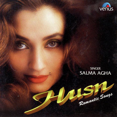 Yaad Koi Aa Raha Hai - Salma Agha