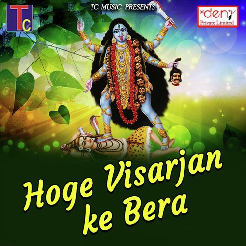 Tor Mamta Dular Maiya - Various Artists