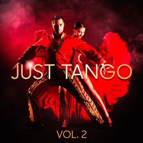 Nunca Dejes de Amarme - Various Artists
