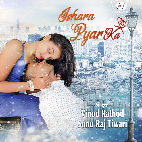 Dil Chahe Re - Birendra Kumar Pandey, Vinod Rathod