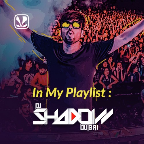 Dj Shadow Dubai   Intro - DJ Shadow Dubai