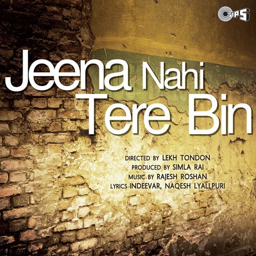 Sukh Dukh Bat Jayenge Manohar, Sadhna Sargam - Rajesh Roshan