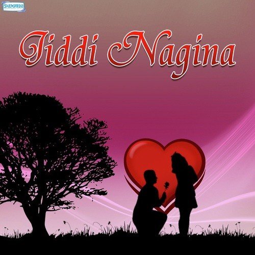 Rangin Sa Ye Paani - Various Artists