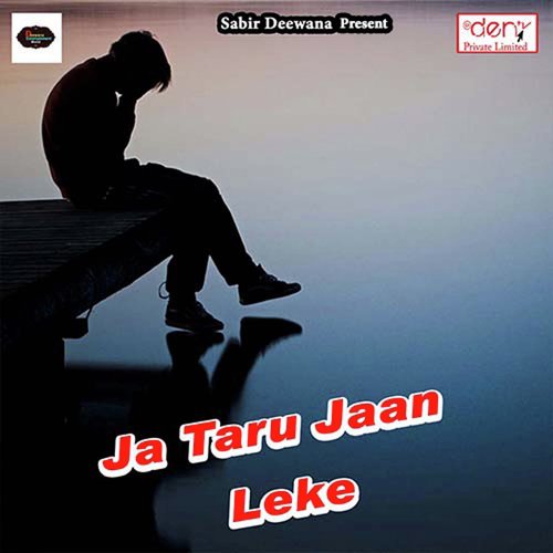 Chala Ye Jija Dhibari Butava - Various Artists