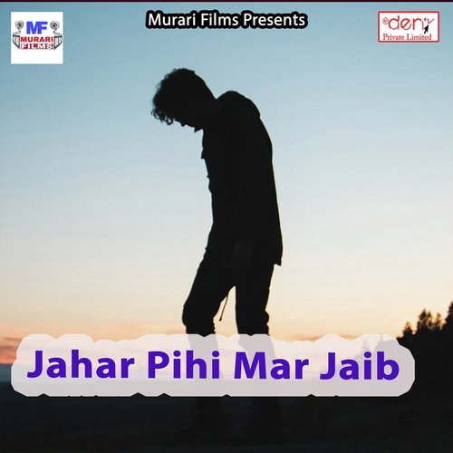 Laxmi Maai Ghare Aai - Various Artists