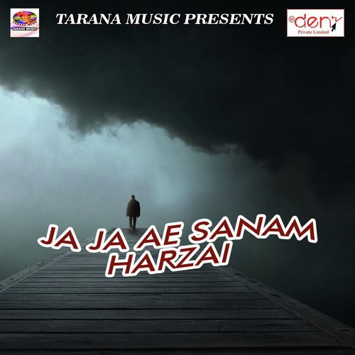O Mere Bhaiya - Various Artists