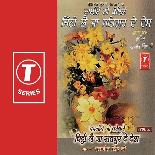 Mere Satgur Mil Gaye Raat Saiyo Ni - Baljit Singh Ji