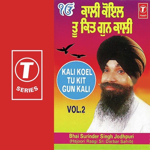 Udo Na Kaga Kare - Bhai Surinder Singh Ji (Jodhpuri)