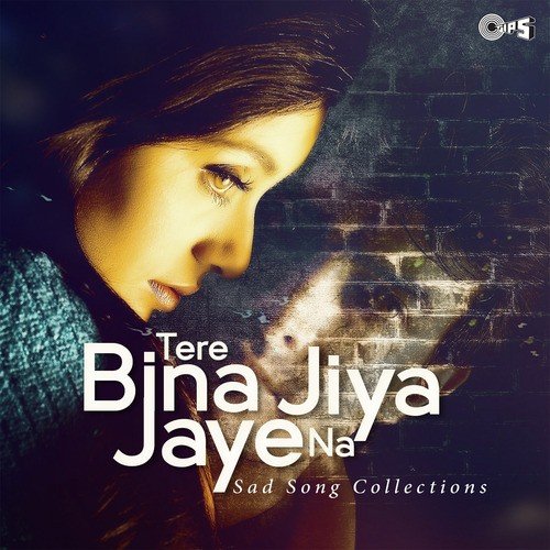 Tere Bina Ek Pal (From Tanha) - Shaarib, Toshi
