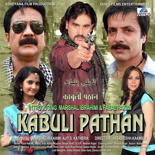 Sher Afghani - Various Artists