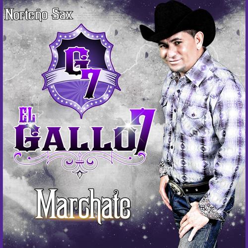 Marchate - El Gallo 7