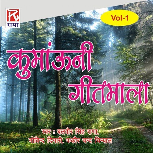 Hit Ho Dada - Various Artists