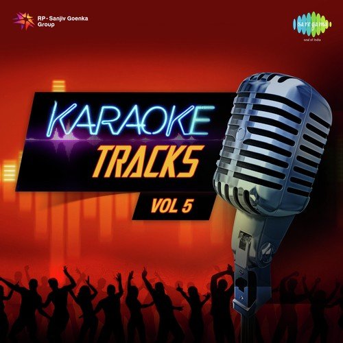 Main Sasural Nahin Jaoongi  Karaoke - Various Artists
