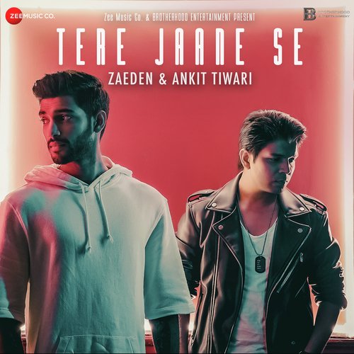 Tere Jaane Se - Aamir Ali Sultan