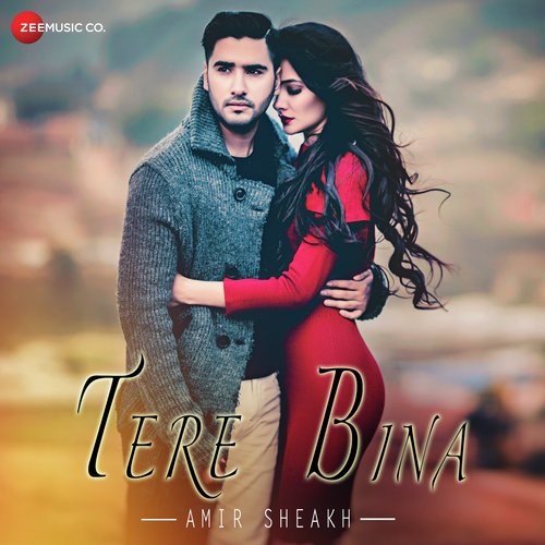 Tere Bina - Isha Mecala