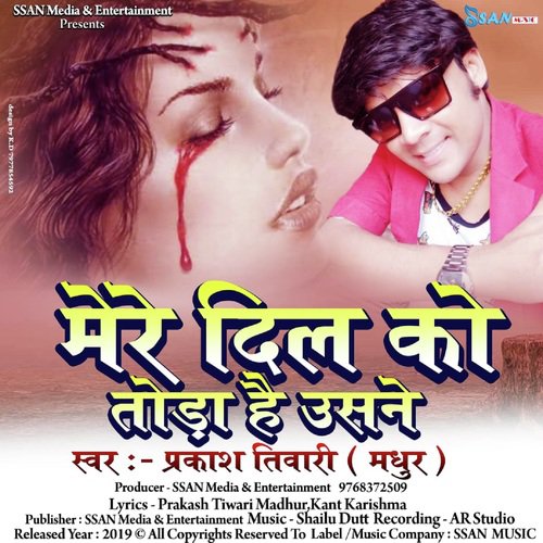 Mere Dil Ko Toda hai Usne - Rockstar Vicky
