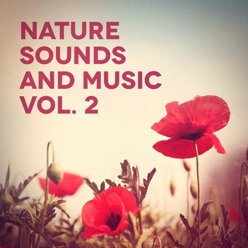 Farm Atmosphere - Nature Sounds Meditation