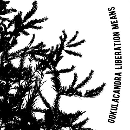 Liberation Means - Gokulacandra