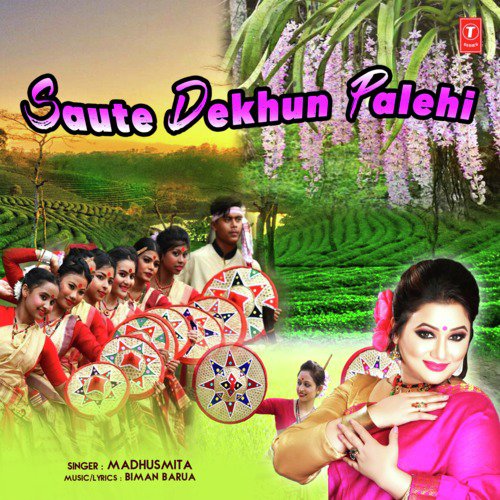 Saute Dekhun Palehi - Neel Akash, Bhagyashri Roy