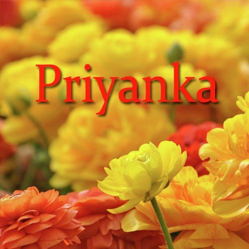 Bhaleti Manuha - Priyanka Bharali