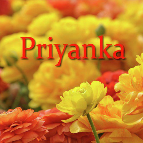 Sachtiya - Priyanka Bharali