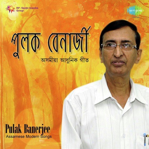 Mou Melar Ei - Pulak Banerjee